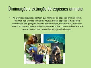 Diminuição e extinção de espécies animais
• As últimas pesquisas apontam que milhares de espécies animais foram
extintas nos últimos cem anos. Muitas destas espécies jamais serão
conhecidas por gerações futuras. Sabemos que, muitas delas, poderiam
revelar ao homem informações importantes sobre o meio ambiente e até
mesmo a cura para determinados tipos de doenças.
 