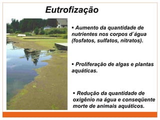 Eutrofização
 Aumento da quantidade de
nutrientes nos corpos d`água
(fosfatos, sulfatos, nitratos).
 Proliferação de algas e plantas
aquáticas.
 Redução da quantidade de
oxigênio na água e conseqüente
morte de animais aquáticos.
 
