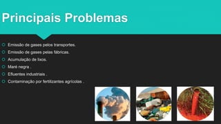 Principais Problemas
 Emissão de gases pelos transportes.
 Emissão de gases pelas fábricas.
 Acumulação de lixos.
 Maré negra .
 Efluentes industriais .
 Contaminação por fertilizantes agrícolas .
 