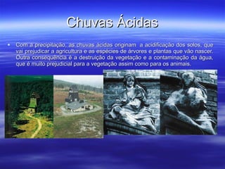 Chuvas Ácidas Com a precipitação, as chuvas ácidas originam  a acidificação dos solos, que vai prejudicar a agricultura e as espécies de árvores e plantas que vão nascer. Outra consequência é a destruição da vegetação e a contaminação da água, que é muito prejudicial para a vegetação assim como para os animais. 