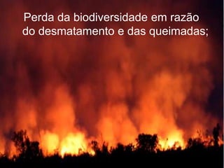 Perda da biodiversidade em razão
do desmatamento e das queimadas;

 