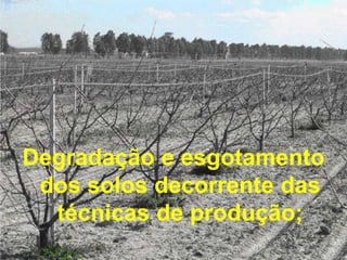 Degradação e esgotamento
dos solos decorrente das
técnicas de produção;

 