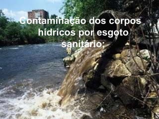 Contaminação dos corpos
hídricos por esgoto
sanitário;

 