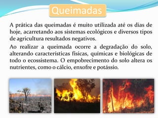 Queimadas
A prática das queimadas é muito utilizada até os dias de
hoje, acarretando aos sistemas ecológicos e diversos tipos
de agricultura resultados negativos.
Ao realizar a queimada ocorre a degradação do solo,
alterando características físicas, químicas e biológicas de
todo o ecossistema. O empobrecimento do solo altera os
nutrientes, como o cálcio, enxofre e potássio.
 