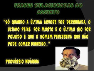 Problemas ambientais em debate