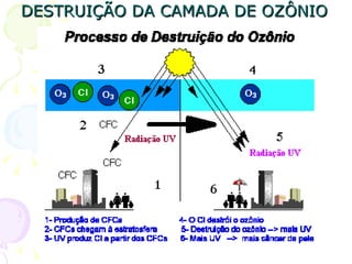 DESTRUIÇÃO DA CAMADA DE OZÔNIO
 