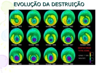 EVOLUÇÃO DA DESTRUIÇÃO
 