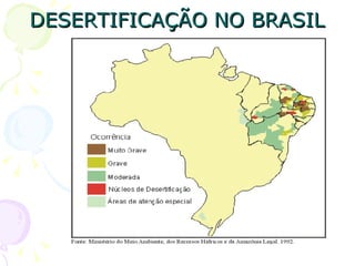 DESERTIFICAÇÃO NO BRASIL
 