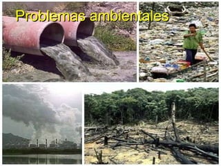 Problemas ambientales 