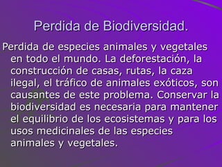 Perdida de Biodiversidad. Perdida de especies animales y vegetales en todo el mundo. La deforestación, la construcción de casas, rutas, la caza ilegal, el tráfico de animales exóticos, son causantes de este problema. Conservar la biodiversidad es necesaria para mantener el equilibrio de los ecosistemas y para los usos medicinales de las especies animales y vegetales. 