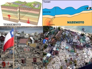 TERREMOTO MAREMOTO 