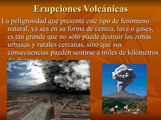 Erupciones Volcánicas La peligrosidad que presenta este tipo de fenómeno natural, ya sea en su forma de ceniza, lava o gases, es tan grande que no sólo puede destruir las zonas urbanas y rurales cercanas, sino que sus consecuencias pueden sentirse a miles de kilómetros de distancia. 