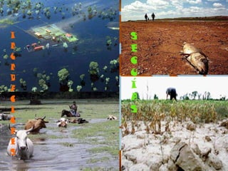 SEQUÍAS INUNDACIONES 