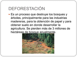 DEFORESTACIÓN
 Es un proceso que destruye los bosques y
árboles, principalmente para las industrias
madereras, para la obtención de papel y para
obtener suelo en donde desarrollar la
agricultura. Se pierden más de 3 millones de
hectáreas de bosque anualmente.
 