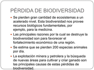 PÉRDIDA DE BIODIVERSIDAD
 Se pierden gran cantidad de ecosistemas a un
acelerado nivel. Esta biodiversidad nos provee
recursos biológicos fundamentales, por
ejemplo, para la medicina.
 Las principales razones por la cual se destruye la
biodiversidad son para favorecer el
fortalecimiento económico de una región.
 Se estima que se pierden 200 especias animales
por día.
 La explotación minera y petrolera y la búsqueda
de nuevas áreas para cultivar y criar ganado son
las principales causas de estas pérdidas de
biodiversidad.
 