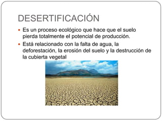 DESERTIFICACIÓN
 Es un proceso ecológico que hace que el suelo
pierda totalmente el potencial de producción.
 Está relacionado con la falta de agua, la
deforestación, la erosión del suelo y la destrucción de
la cubierta vegetal
 