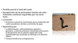 • Perdida parcial o total del suelo.
• Desaparición de las principales fuentes de sales
minerales nutritivas requeridas por los seres
vivos.
• La Erocion
• fenómeno natural de movimiento de los materiales del
suelo causado por vientos y corrientes de agua
• Desertificacion
• La deforestación, sobreexplotacion agrícola y
ganadera, y diversos procesos industriales promueven
la desaparición de la cubierta vegeta del suelo,
ocacionando que el paisaje se asemeje a un desierto
infértil.
• Provoca hambrunas y emigraciones
 