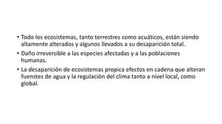 • Todo los ecosistemas, tanto terrestres como acuáticos, están siendo
altamente alterados y algunos llevados a su desaparición total.
• Daño irreversible a las especies afectadas y a las poblaciones
humanas.
• La desaparición de ecosistemas propica efectos en cadena que alteran
fuenstes de agua y la regulación del clima tanto a nivel local, como
global.
 