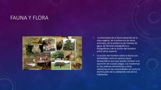 FAUNA Y FLORA 
• La diversidad de la fauna depende de la 
capa vegetal, de la presencia de otros 
animales, de la existencia de fuentes de 
agua, de factores topográficos y 
fisiográficos y de la acción del hombre 
entre otros aspecto 
• La acción del hombre sobre la fauna con 
actividades como la cacería causa 
desequilibrio que que puede conducir a la 
aparición de nuevas plagas. Los trastornos 
en las cadenas alimenticias y otras 
relaciones en las comunidades así como la 
disminución de la calidad de vida de los 
habitantes. 
 
