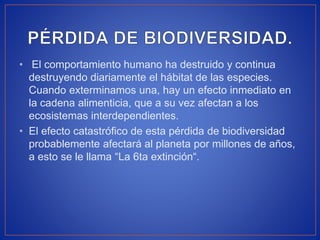 • El comportamiento humano ha destruido y continua
destruyendo diariamente el hábitat de las especies.
Cuando exterminamos una, hay un efecto inmediato en
la cadena alimenticia, que a su vez afectan a los
ecosistemas interdependientes.
• El efecto catastrófico de esta pérdida de biodiversidad
probablemente afectará al planeta por millones de años,
a esto se le llama “La 6ta extinción“.
 