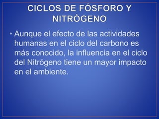 • Aunque el efecto de las actividades
humanas en el ciclo del carbono es
más conocido, la influencia en el ciclo
del Nitrógeno tiene un mayor impacto
en el ambiente.
 