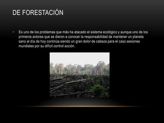 DE FORESTACIÓN
• Es uno de los problemas que más ha atacado el sistema ecológico y aunque uno de los
primeros actores que se dieron a conocer la responsabilidad de mantener un planeta
sano al día de hoy continúa siendo un gran dolor de cabeza para el caso sesiones
mundiales por su difícil control acción.
 