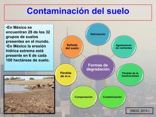 Contaminación del suelo
•En México se
encuentran 28 de los 32
grupos de suelos
presentes en el mundo.
•En México la erosión
hídrica extrema está
presente en 6 de cada
100 hectáreas de suelo.
Formas de
degradación
Salinización
Agotamiento
de nutrientes
Pérdida de la
biodiversidad
ContaminaciónCompactación
Pérdida
de m.o.
Sellado
del suelo
(INEGI, 2015.)
 