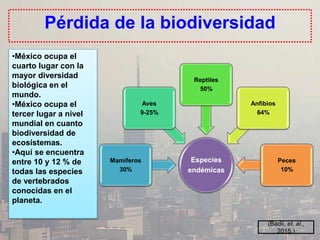 Pérdida de la biodiversidad
•México ocupa el
cuarto lugar con la
mayor diversidad
biológica en el
mundo.
•México ocupa el
tercer lugar a nivel
mundial en cuanto
biodiversidad de
ecosistemas.
•Aquí se encuentra
entre 10 y 12 % de
todas las especies
de vertebrados
conocidas en el
planeta.
Especies
endémicas
Mamíferos
30%
Aves
9-25%
Reptiles
50%
Anfibios
64%
Peces
10%
(Badii, et. al.,
2015.)
 