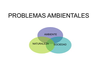 PROBLEMAS AMBIENTALES
NATURALEZA SOCIEDAD
AMBIENTE
 