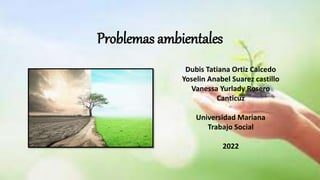 Problemas ambientales
Dubis Tatiana Ortiz Caicedo
Yoselin Anabel Suarez castillo
Vanessa Yurlady Rosero
Canticuz
Universidad Mariana
Trabajo Social
2022
 
