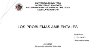UNIVERSIDAD FERMÍN TORO
VICERECTORADO ACADÉMICO
FACULTAD DE CIENCIAS JURÍDICAS Y POLÍTICAS
ESCUELA DE DERECHO
LOS PROBLEMAS AMBIENTALES
Angie Adán
C.I: 25.147.631
Derecho Ambiental
Junio 2023
Barranquilla, Atlántico, Colombia
 