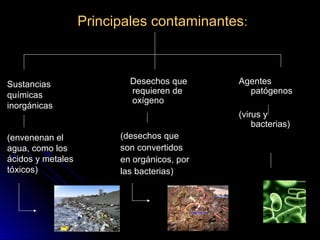 Principales contaminantesPrincipales contaminantes::
SustanciasSustancias
químicasquímicas
inorgánicasinorgánicas
(envenenan el(envenenan el
agua, como losagua, como los
ácidos y metalesácidos y metales
tóxicos)tóxicos)
Desechos queDesechos que
requieren derequieren de
oxígenooxígeno
(desechos que(desechos que
son convertidosson convertidos
en orgánicos, poren orgánicos, por
las bacterias)las bacterias)
AgentesAgentes
patógenospatógenos
(virus y(virus y
bacterias)bacterias)
 
