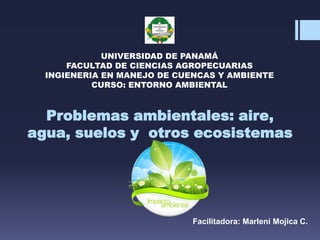 Problemas ambientales: aire,
agua, suelos y otros ecosistemas
UNIVERSIDAD DE PANAMÁ
FACULTAD DE CIENCIAS AGROPECUARIAS
INGIENERIA EN MANEJO DE CUENCAS Y AMBIENTE
CURSO: ENTORNO AMBIENTAL
Facilitadora: Marleni Mojica C.
 