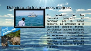 Deterioro de los recursos marinos
El deterioro de los
recursos pesqueros, en
particular por la pesca
excesiva. La amenaza a la
diversidad biológica marina,
por diversos factores humanos
y climáticos. La explotación de
los recursos no-vivos, tanto
los oceánicos como los
costeros, con particular
referencia al petróleo, la arena
y la grava.www.miambiente.gob.pa/images/stories/Indicadores/.../rec
ursos_marinos_costeros.htm
 