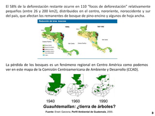 El 58% de la deforestación restante ocurre en 110 “focos de deforestación” relativamente
pequeños (entre 26 y 200 km2), distribuidos en el centro, nororiente, noroccidente y sur
del país, que afectan los remanentes de bosque de pino-encino y algunos de hoja ancha.




La pérdida de los bosques es un fenómeno regional en Centro América como podemos
ver en este mapa de la Comisión Centroamericana de Ambiente y Desarrollo (CCAD).




                        1940                  1960                    1990
                      Guauhtemallan: ¿tierra de árboles?
                        Fuente: Erwin Garzona, Perfil Ambiental de Guatemala, 2000.
                                                                                           3
 