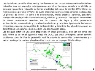 Las situaciones de crisis alimentaria y hambrunas no son producto únicamente de cambios
naturales sino son causados principalmente por el ser humano, debido a la pérdida de
bosques y con ello la reducción de lluvias y fertilidad del suelo. Se pierden 299 millones de
metros cúbicos por año (m3/año) de suelo erosionado por prácticas agrícolas inadecuadas.
La pérdida de suelos se debe a la deforestación, malas prácticas agrícolas, ganadería
inadecuada y mala planificación de viviendas, edificios y carreteras. Y se estima que un 60%
de suelos erosionados terminan en las cuencas de lagos y ríos provocando
sedimentación, azolvamiento y con ellos inundaciones y desastres. Igualmente las laderas
erosionadas son más susceptibles de deslizamientos y desastres. Por ello decimos que los
desastres no son naturales sino más bien una construcción social.
Los bosques están en una gran proporción en áreas protegidas, que son un tercio del
país, como se ve en el siguiente mapa de CCAD. Las áreas protegidas tienen severos
problemas como la falta de protección real, la presión de actividades contaminantes y la
extracción ilegal de madera y biodiversidad como pasa en la propia Biosfera Maya.




                                                                                                6
 