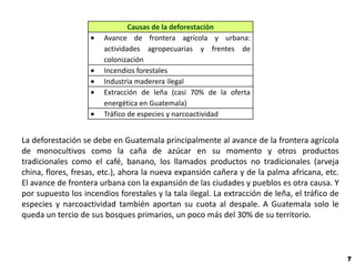 Causas de la deforestación
                       Avance de frontera agrícola y urbana:
                       actividades agropecuarias y frentes de
                       colonización
                       Incendios forestales
                       Industria maderera ilegal
                       Extracción de leña (casi 70% de la oferta
                       energética en Guatemala)
                       Tráfico de especies y narcoactividad


La deforestación se debe en Guatemala principalmente al avance de la frontera agrícola
de monocultivos como la caña de azúcar en su momento y otros productos
tradicionales como el café, banano, los llamados productos no tradicionales (arveja
china, flores, fresas, etc.), ahora la nueva expansión cañera y de la palma africana, etc.
El avance de frontera urbana con la expansión de las ciudades y pueblos es otra causa. Y
por supuesto los incendios forestales y la tala ilegal. La extracción de leña, el tráfico de
especies y narcoactividad también aportan su cuota al despale. A Guatemala solo le
queda un tercio de sus bosques primarios, un poco más del 30% de su territorio.



                                                                                               7
 