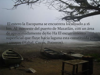  El estero la Escopama se encuentra localizado a 16 km. Al  noroeste del puerto de Mazatlán, con un área de aproximadamente de 60 Ha El escurrimiento superficial que fluye hacia laguna esta constituida por 3 arroyos (Habal, Cocos, Potreros).