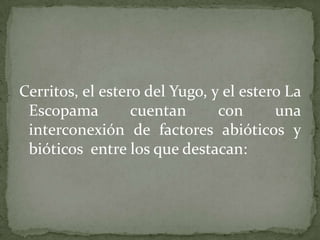 Cerritos, el estero del Yugo, y el estero La Escopama cuentan con una interconexión de factores abióticos y bióticos  entre los que destacan: