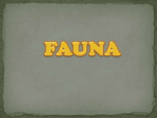   FAUNA