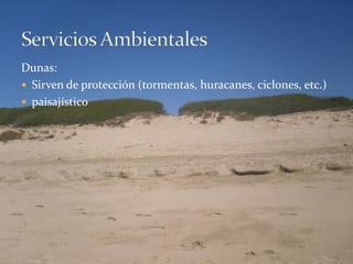 Dunas:Sirven de protección (tormentas, huracanes, ciclones, etc.)paisajísticoServicios Ambientales
