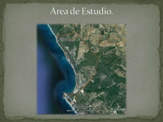 Área de Estudio.