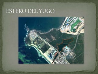 ESTERO DEL YUGO