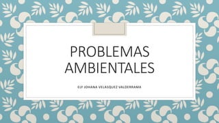 PROBLEMAS
AMBIENTALES
ELY JOHANA VELASQUEZ VALDERRAMA
 