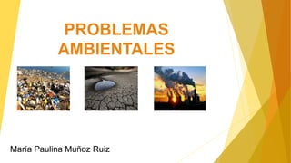 PROBLEMAS
AMBIENTALES
María Paulina Muñoz Ruiz
 