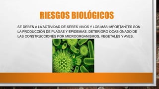 RIESGOS BIOLÓGICOS
SE DEBEN A LA ACTIVIDAD DE SERES VIVOS Y LOS MÁS IMPORTANTES SON
LA PRODUCCIÓN DE PLAGAS Y EPIDEMIAS, DETERIORO OCASIONADO DE
LAS CONSTRUCCIONES POR MICROORGANISMOS, VEGETALES Y AVES.
 