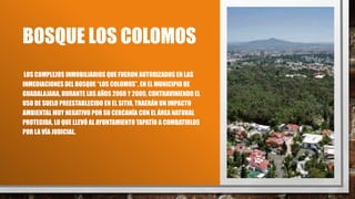 BOSQUE LOS COLOMOS
LOS COMPLEJOS INMOBILIARIOS QUE FUERON AUTORIZADOS EN LAS
INMEDIACIONES DEL BOSQUE “LOS COLOMOS”, EN EL MUNICIPIO DE
GUADALAJARA, DURANTE LOS AÑOS 2008 Y 2009, CONTRAVINIENDO EL
USO DE SUELO PREESTABLECIDO EN EL SITIO, TRAERÁN UN IMPACTO
AMBIENTAL MUY NEGATIVO POR SU CERCANÍA CON EL ÁREA NATURAL
PROTEGIDA, LO QUE LLEVÓ AL AYUNTAMIENTO TAPATÍO A COMBATIRLOS
POR LA VÍA JUDICIAL.
 