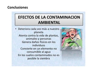 Conclusiones 
 