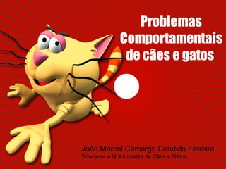 Problemas Comportamentais de cães e gatos  João Marcel Camargo Candido Ferreira  Educador e Nutricionista de Cães e Gatos 