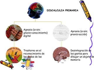 DISCALCULIA PRIMARIA
Agnosia (a=sin;
gnosis=conocimiento)
digital
Trastorno en el
reconocimiento de
los dedos de las
manos
Apraxia (a=sin;
praxis=acción)
Desintegración de
los gestos para
dibujar un objeto de
memoria
 